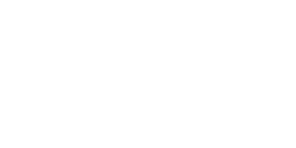 bibo